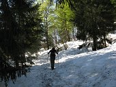 01 Sottobosco tra Alpe Corte e baite Neel